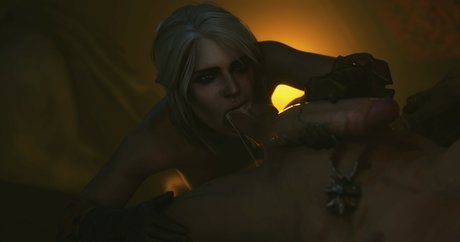 The Witcher meilleur modèle galeries