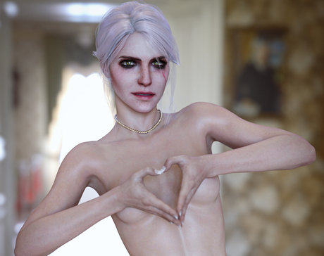 The Witcher modèle magnifique img