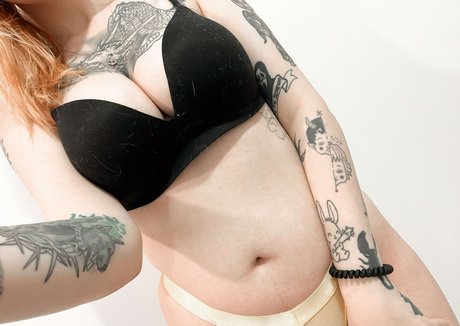 lleykt421 nus étoiles galerie