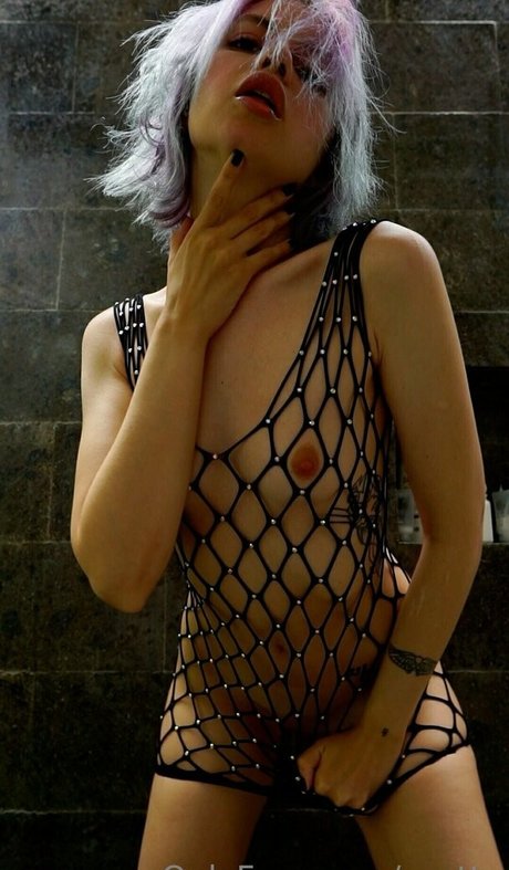 xxcttn sexe star du porno galerie