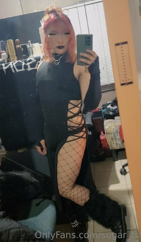 sugar ts actrice érotique collection