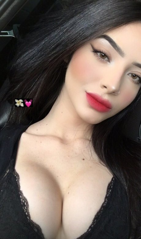 Ingrid Biancchi belle star du porno collection