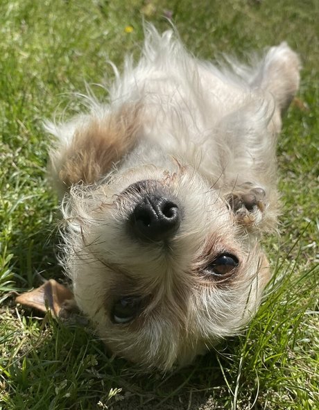 plage seins nus onlyfans belle gratuite img