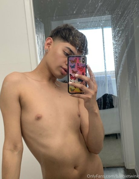 thebarbieetwink belle star du porno photo