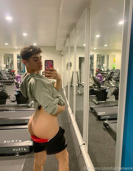 thebarbieetwink star du porno exclusive photos