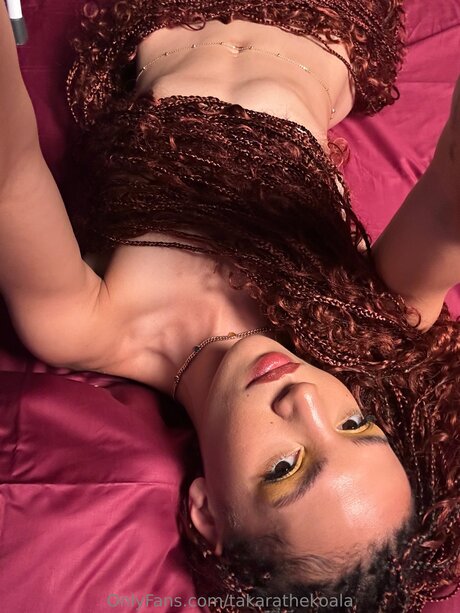 Takarathekoala étoile sympa photos