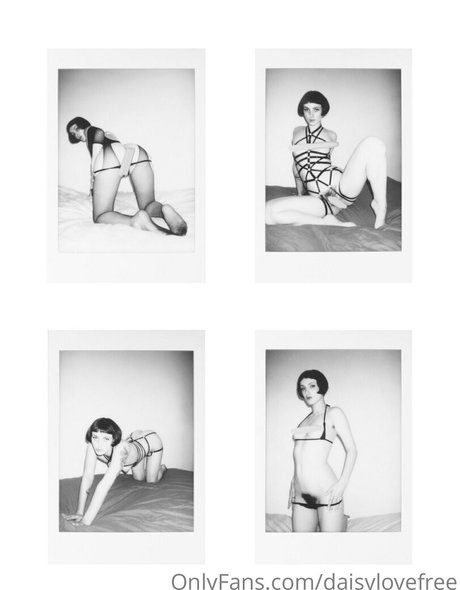 daisylovefree étoile adulte galerie