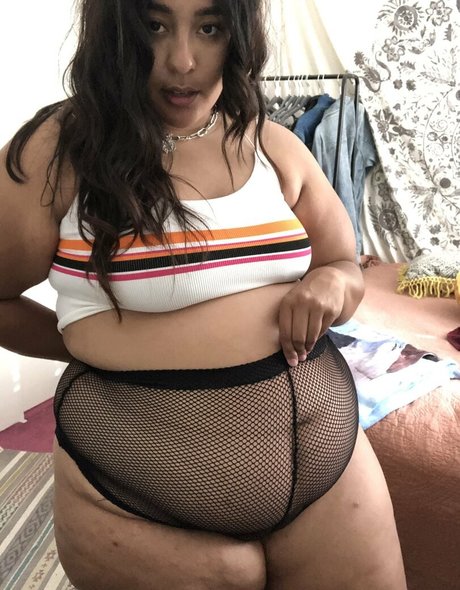 feederandfeedee nus star du porno collection