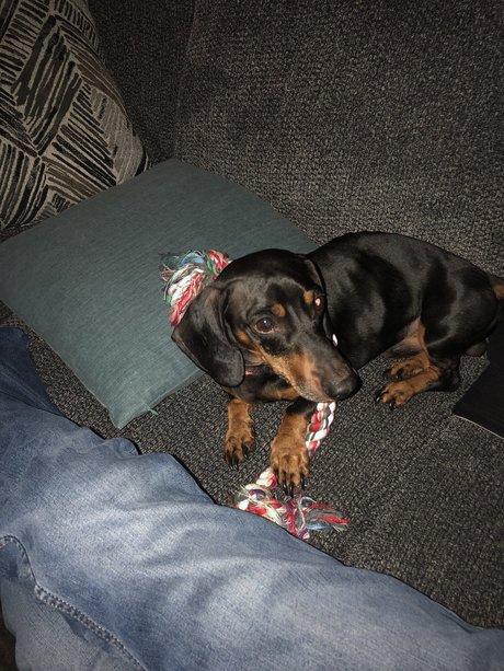 fans de salle de sport uniquement porno gratuit photo