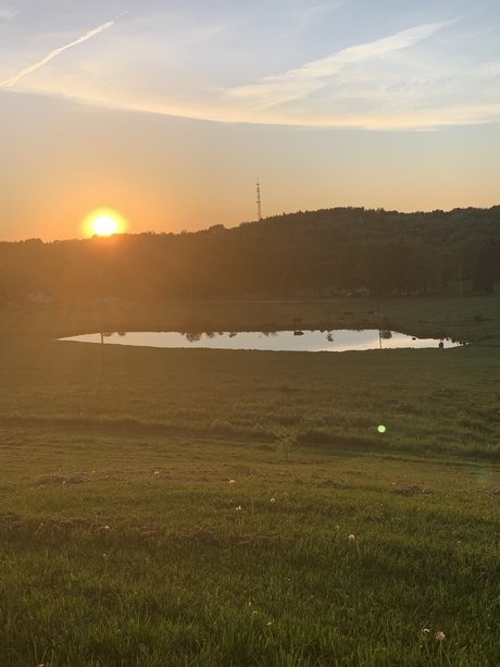 GracieBabie sexe star collection