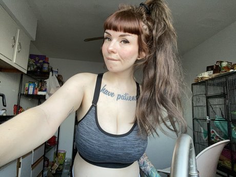 gabbidoesit star du porno en haute qualité collection