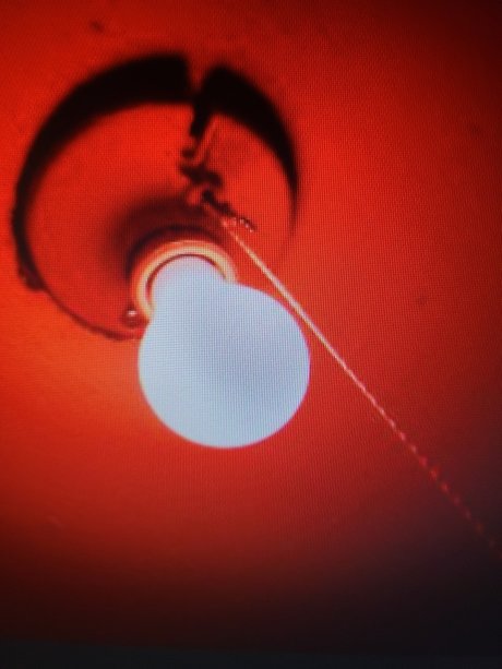 My Red Light District star du porno img