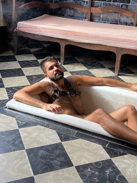 Furry Horny star du porno nue collection