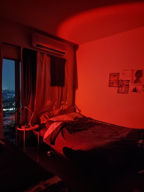 NAENOII haut modèle img