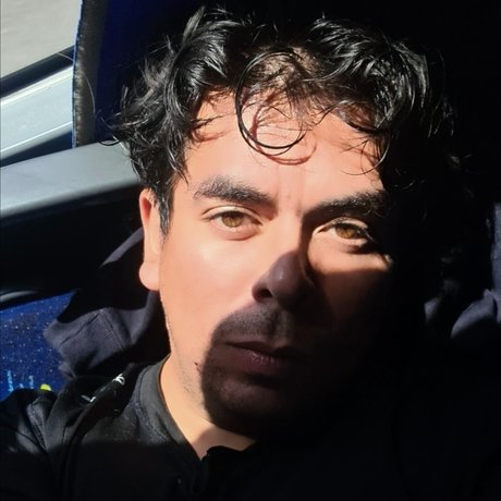 Endeer star du porno sexy collection