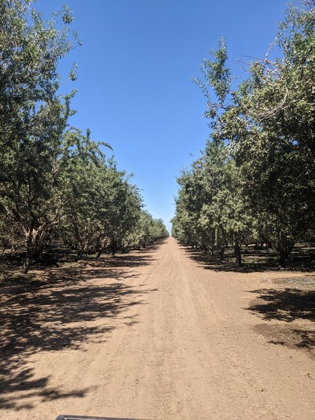 Farmer Adam star du porno gratuit image