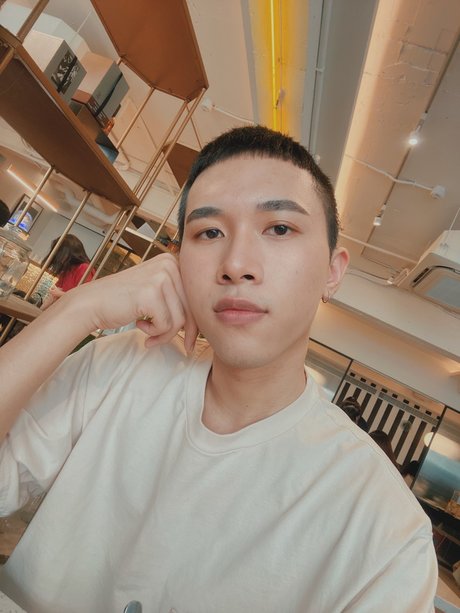 N puppy_ jolie étoile photo