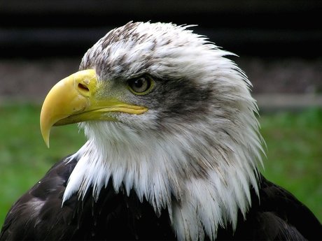 Tiffani_ modèle artistique images