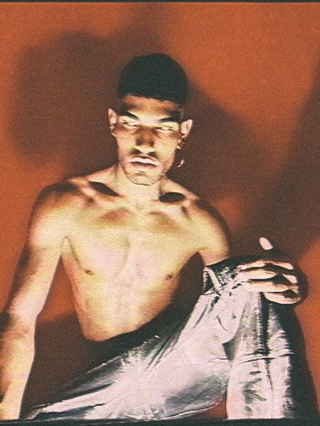 Narciso Nefer modèle de haute qualité archive