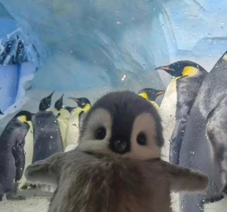 _DD_ meilleur modèle img