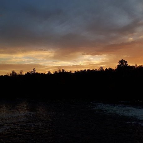 fans de chatte blanche uniquement sexy jolie galerie