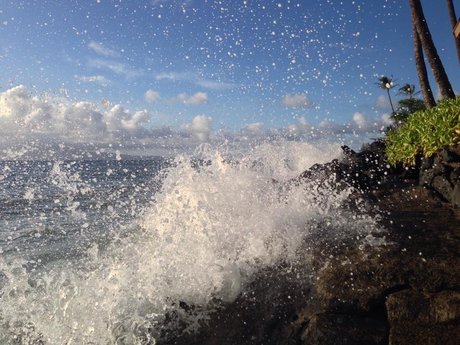 Djhandz star du porno xxx images