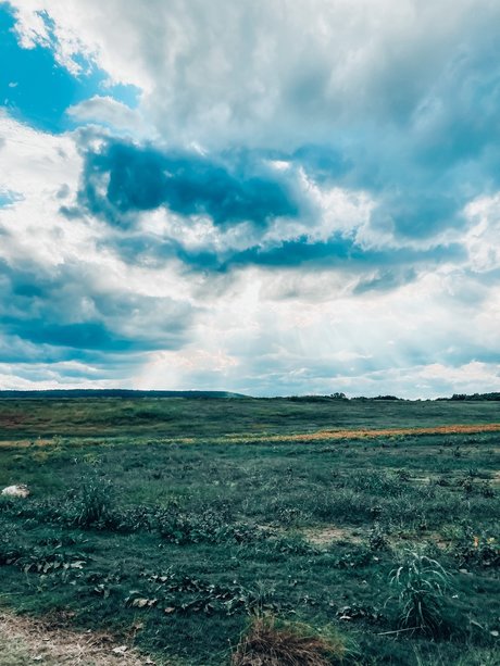 fans masculins asiatiques uniquement art meilleur archive