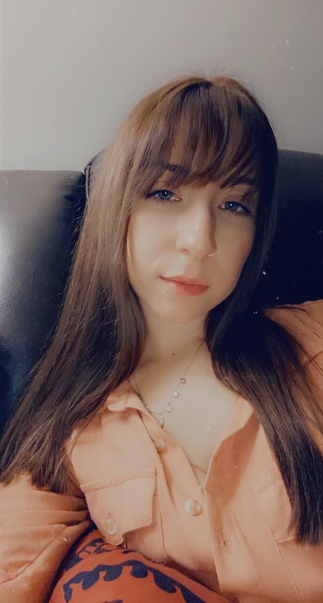 BluJay joli modèle archive