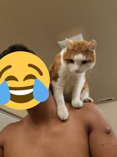 life of No Man modèle adulte photos