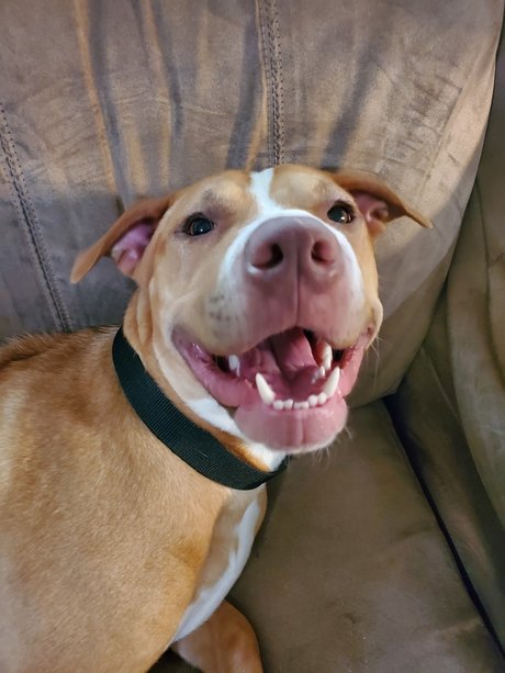 Cute Jess actrice pornographique galeries