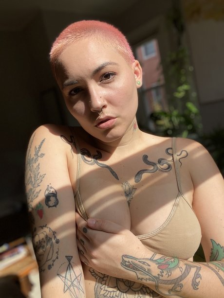 Veronica Vale star du porno hd photo