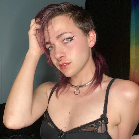 Cedar_ belle étoile des photos