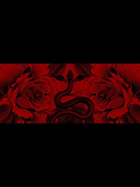 Curvy Deluxxx belle étoile archive