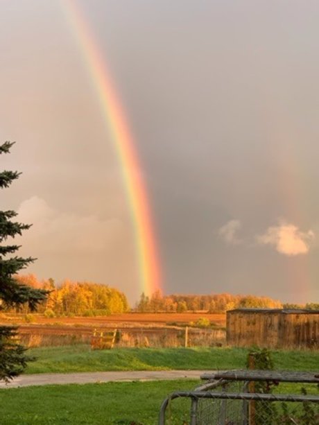 Chloena Starchild étoile exclusive images