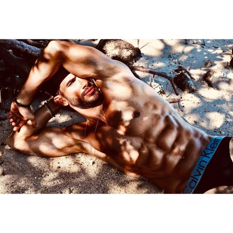 Freedome meilleure star du porno photo