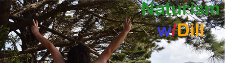 _The Rated R Superstar Dill modèle sympa collection