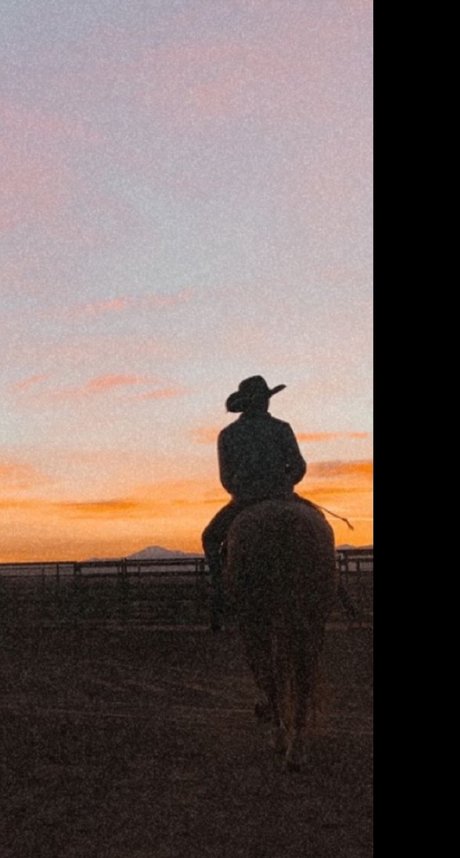 Dottie Walker actrice chaude galeries