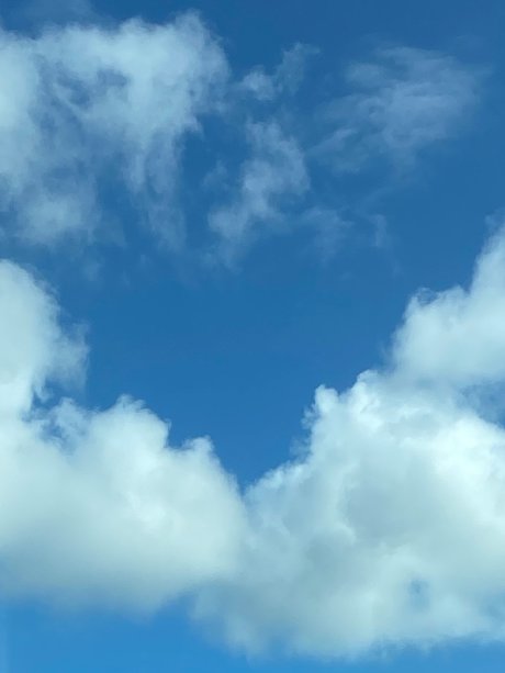 Cassandra Tapia star du sexe collection