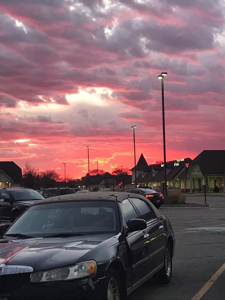 Cecilia mae étoile gratuite collection