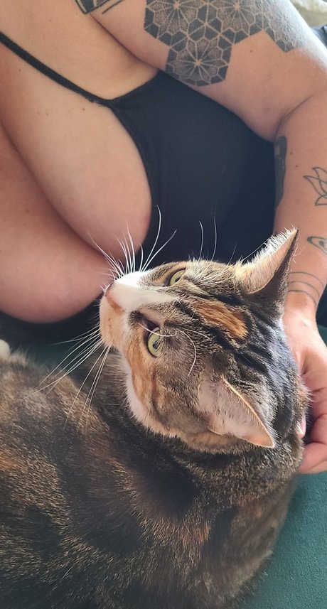 Cougarmompad star du porno chaude images