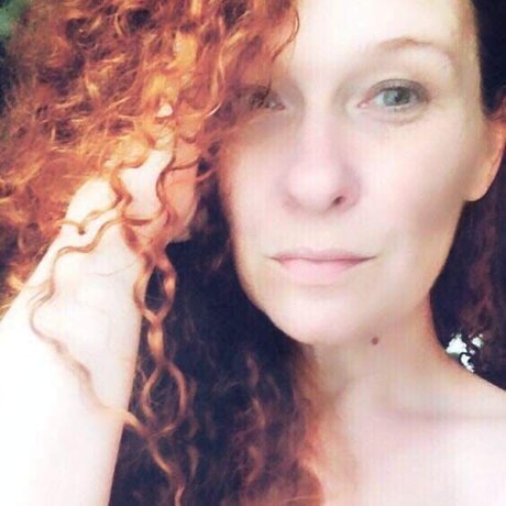 LittleFox étoile galerie