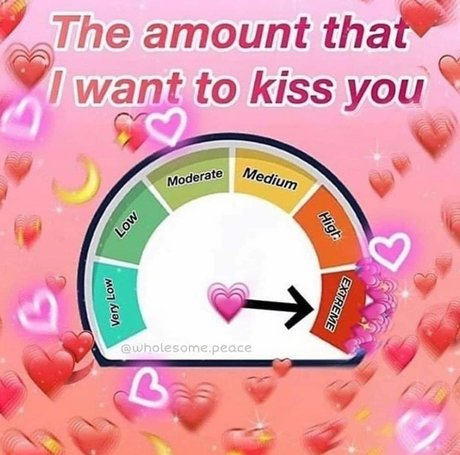 Nat Jude meilleure étoile archive