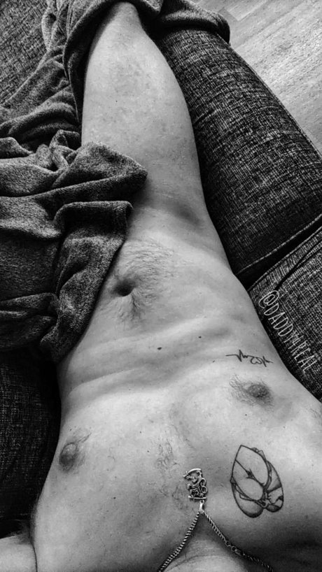 D ddy jolie étoile galeries