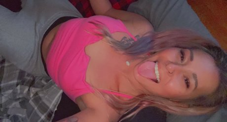 chaton potelé uniquementfans nus parfaits photo