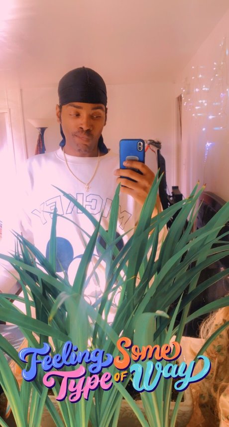 Tracii haut modèle galerie