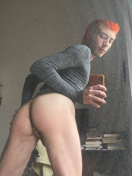 Dableed nus de stars du porno collection