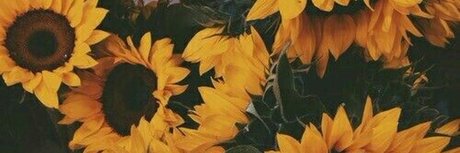 milf aux cheveux noirs onlyfans meilleurs nus galerie