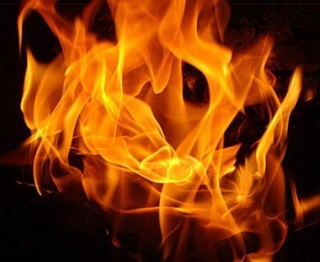 Camil Devine étoile sympa images