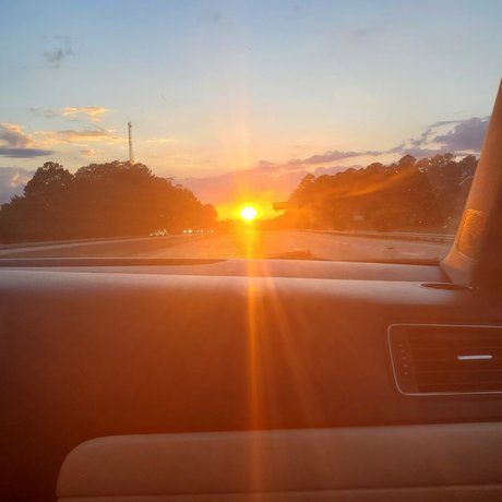 Zek modèles nus collection