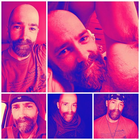 Jay Law star du porno gratuit images